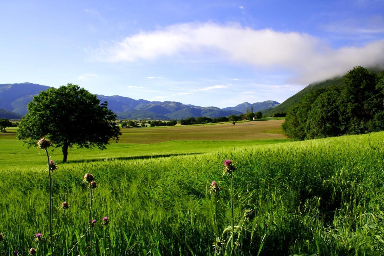 Villa Agriturismo La Cascina Di Opaco à Norcia Extérieur photo