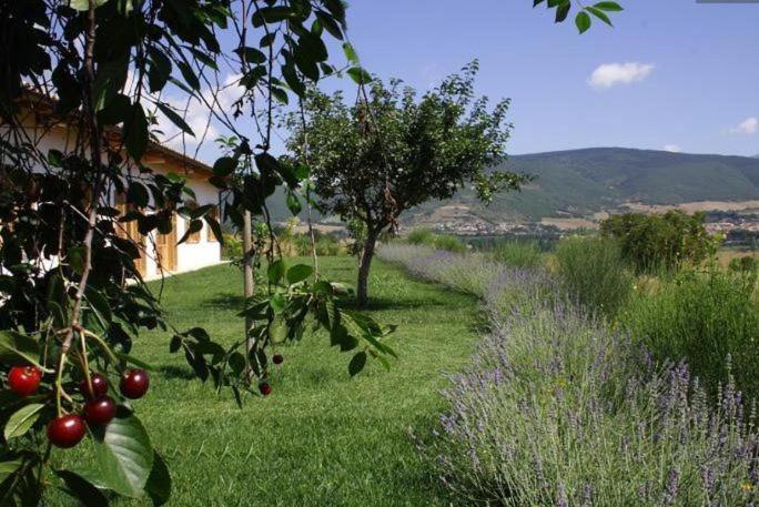 Villa Agriturismo La Cascina Di Opaco à Norcia Extérieur photo